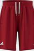 adidas x Arte Antwerp Shorts