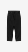 Aaron Pant