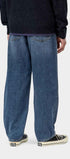 Aaron Pant