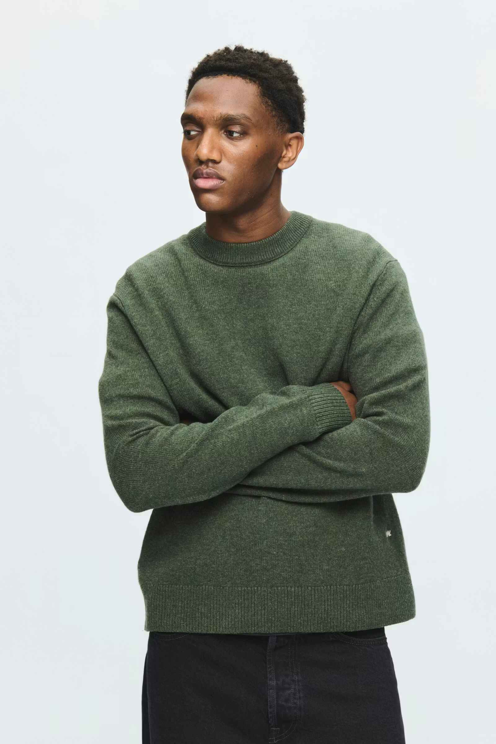 WWlogo Pullover