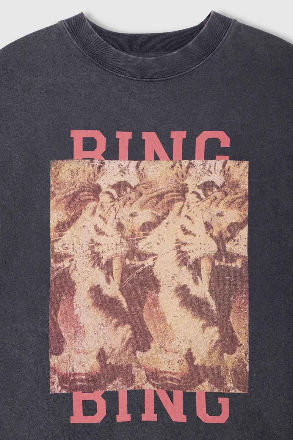 Miles Sweatshirt Tiger Bing