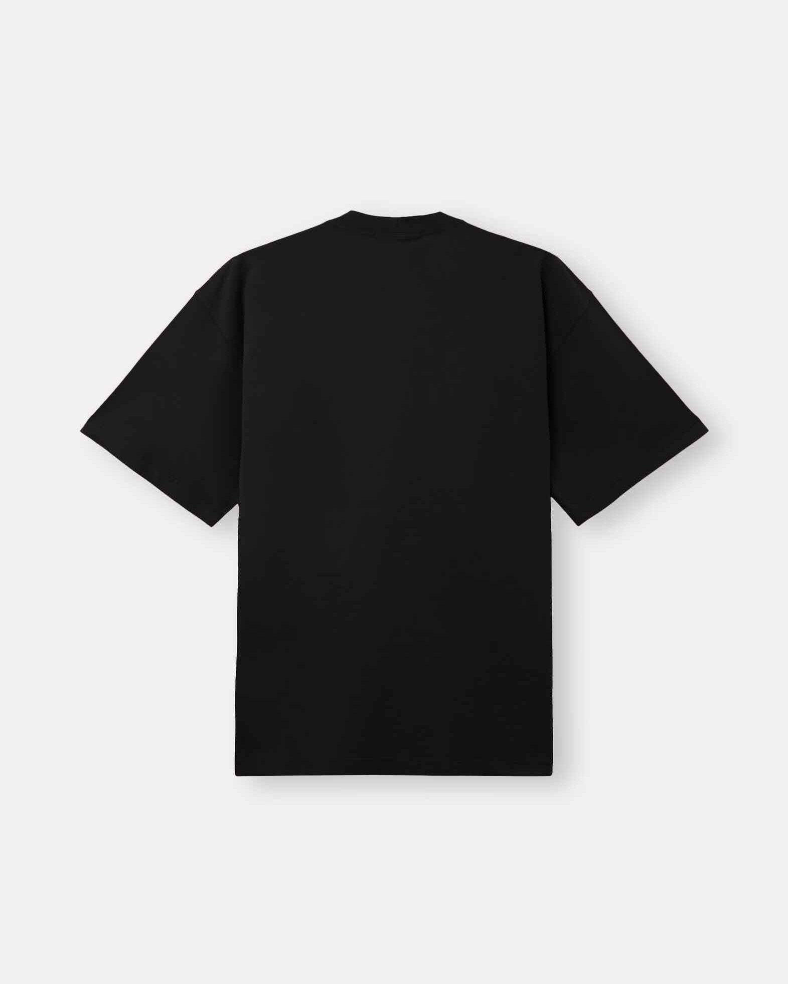 2100030 COMBED ORGANIC COTTON JERSEY