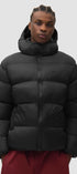 Hooded Puffer