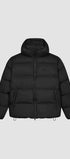 Hooded Puffer