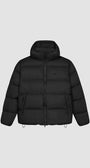 Hooded Puffer