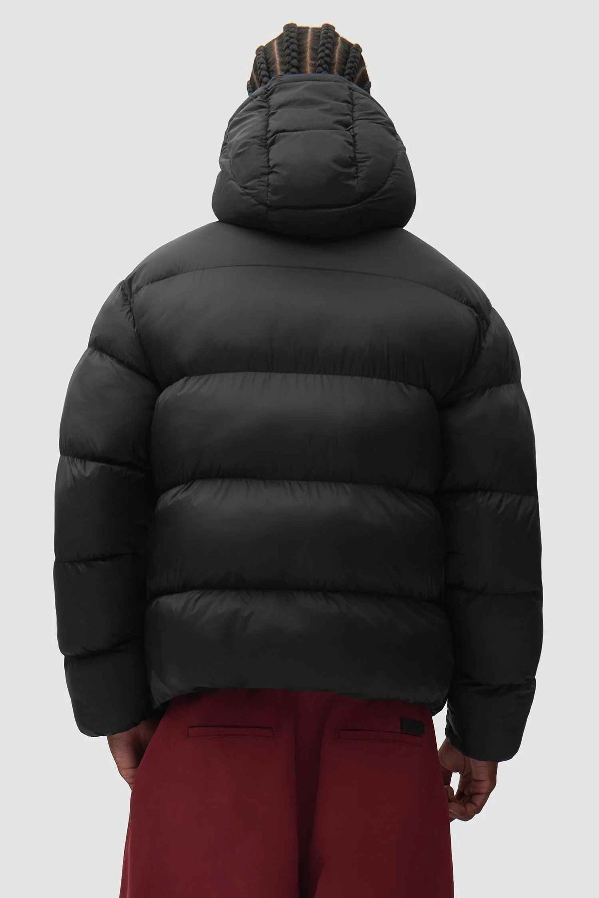 Hooded Puffer