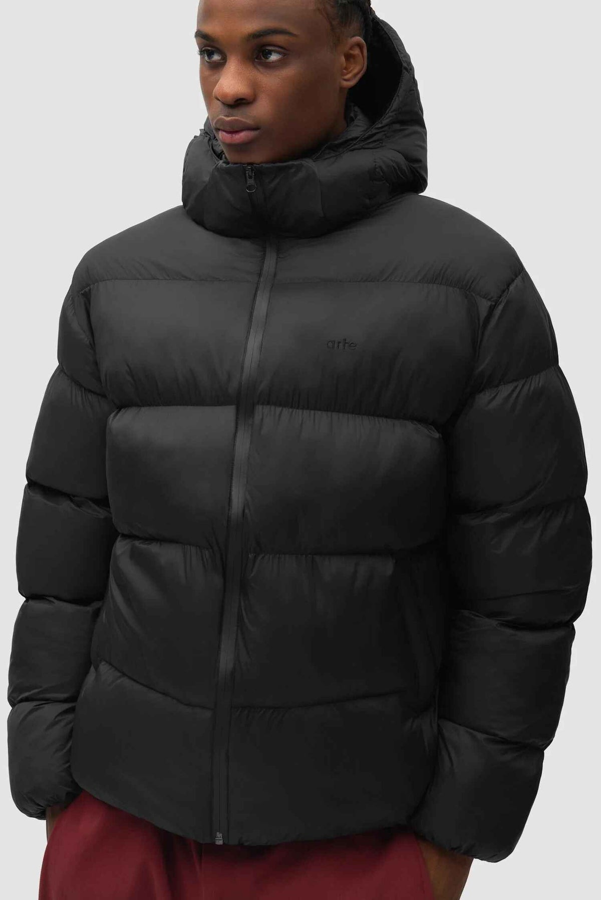 Hooded Puffer