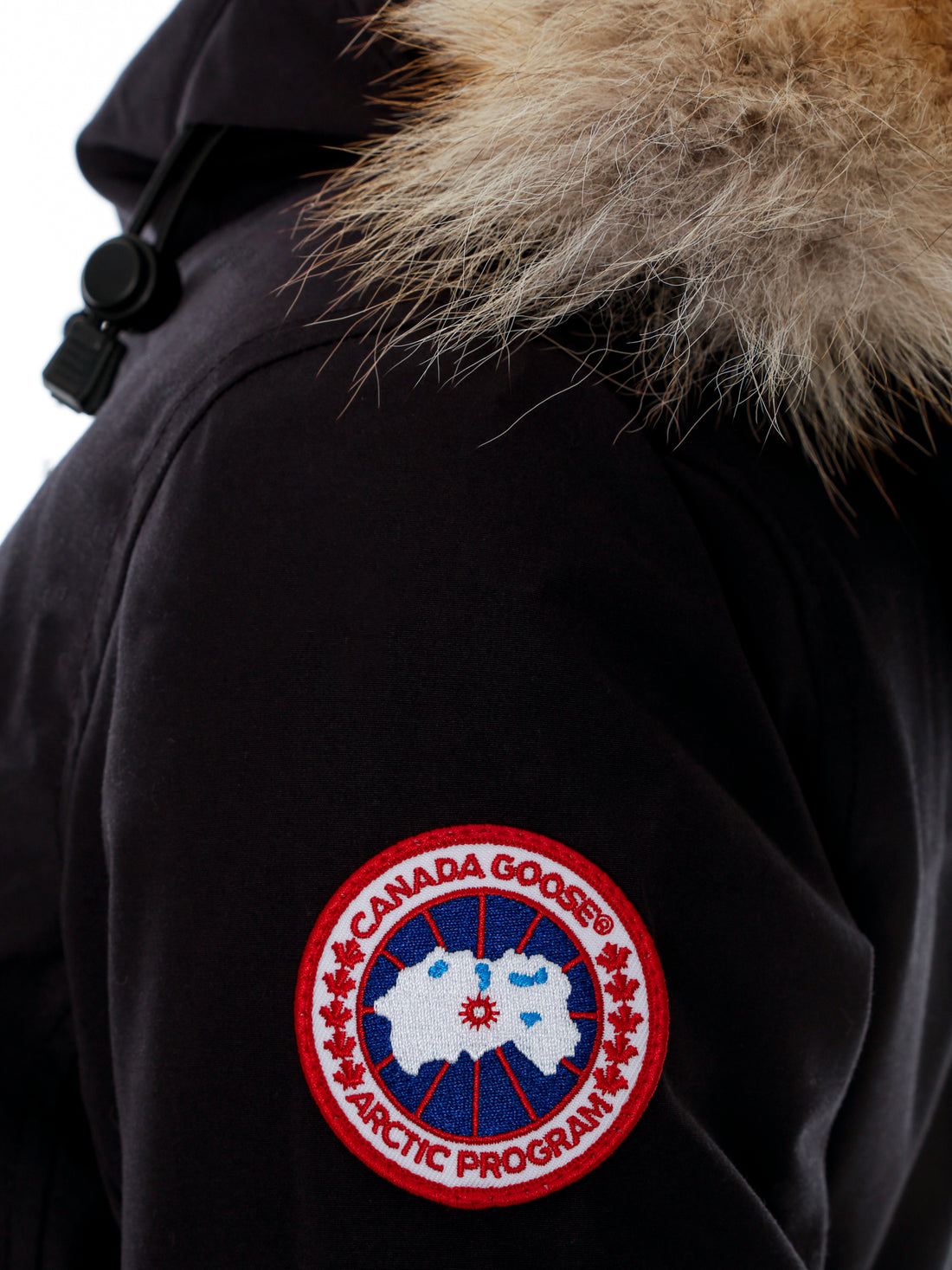 Arctic goose parka shop